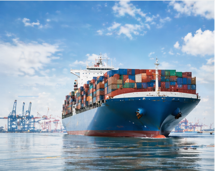 Ocean freight logistics for bulk cargo transportation